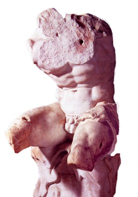 Belvedere torso