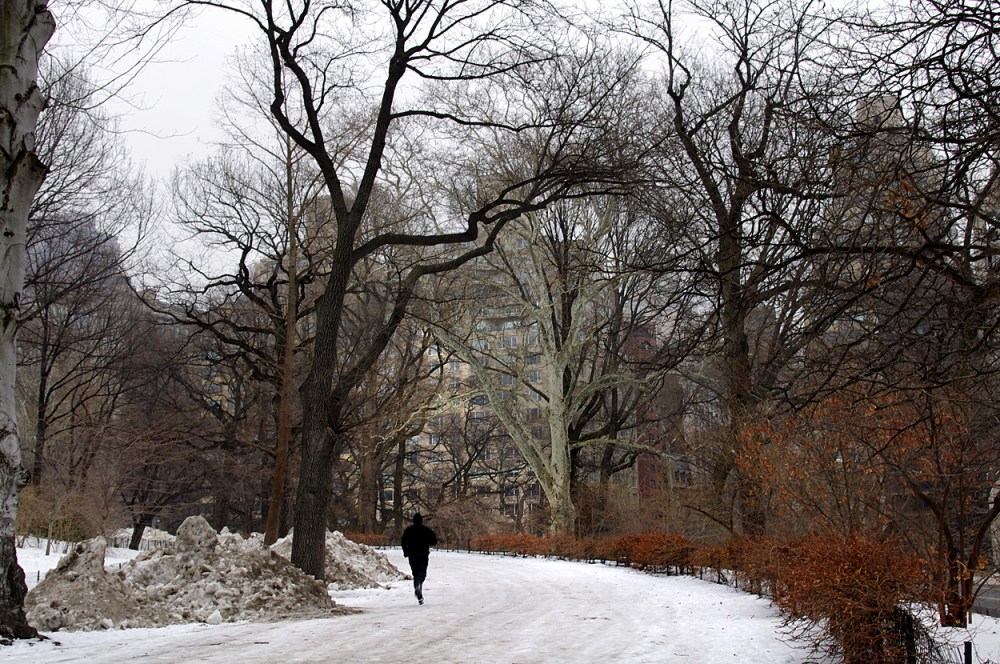 Central Park i