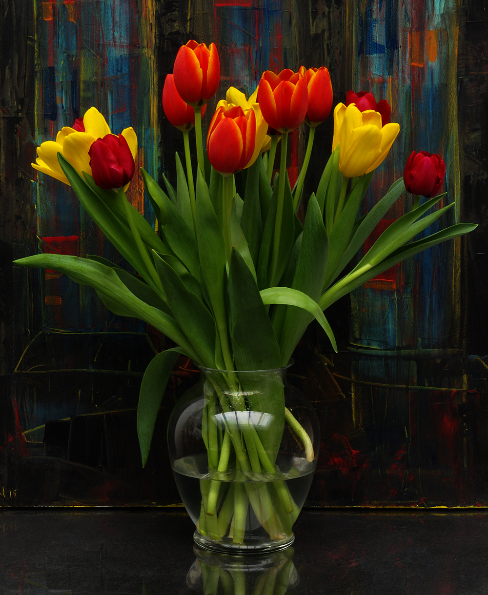 tulips iii