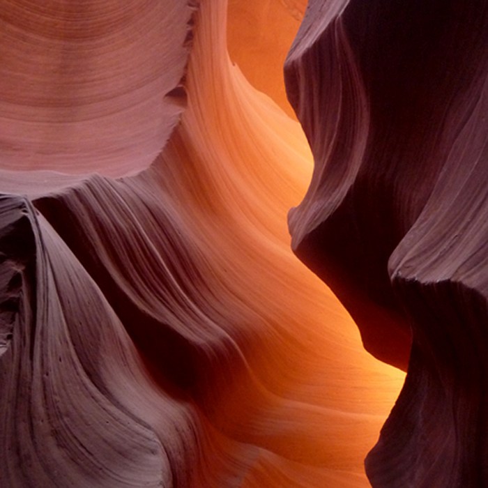 Abstract Antelope ib