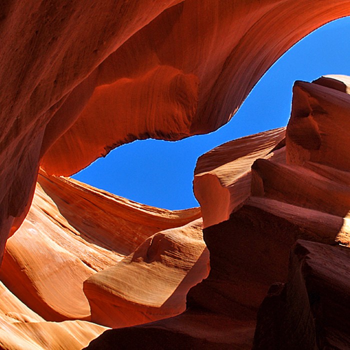 Abstract Antelope iv