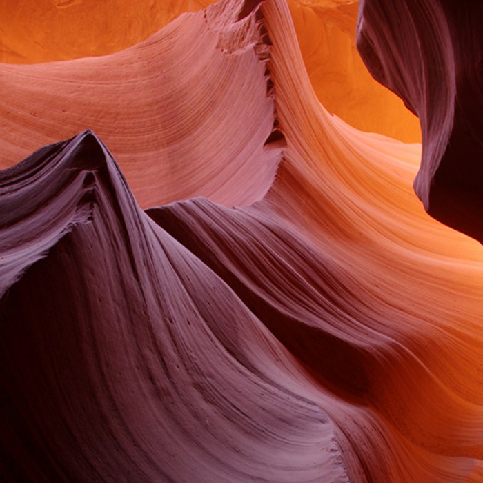 Abstract Antelope vi