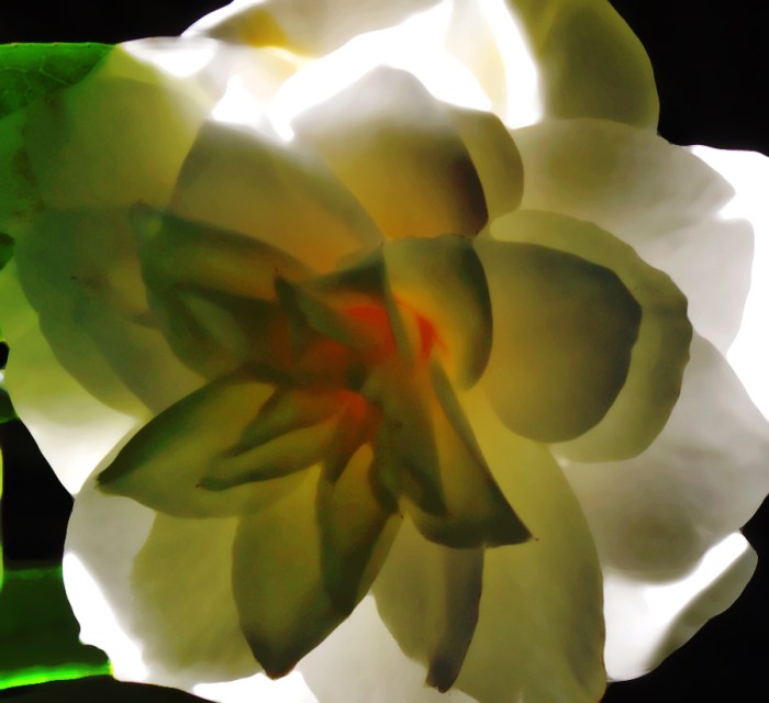 camelliabstract iv